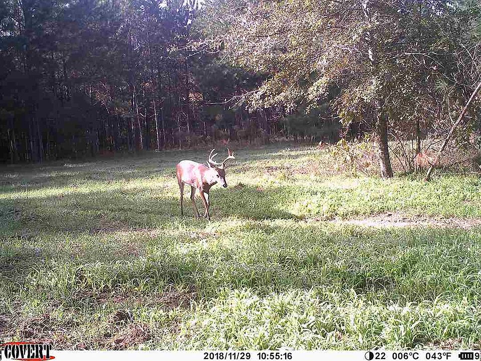 2nd image of Proctor Rd