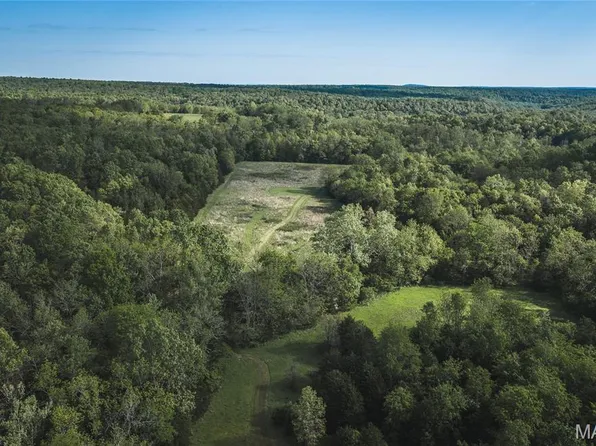 2 State Highway Off, Edgar Springs, MO 65462