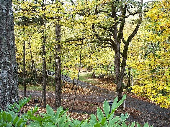 View from living room