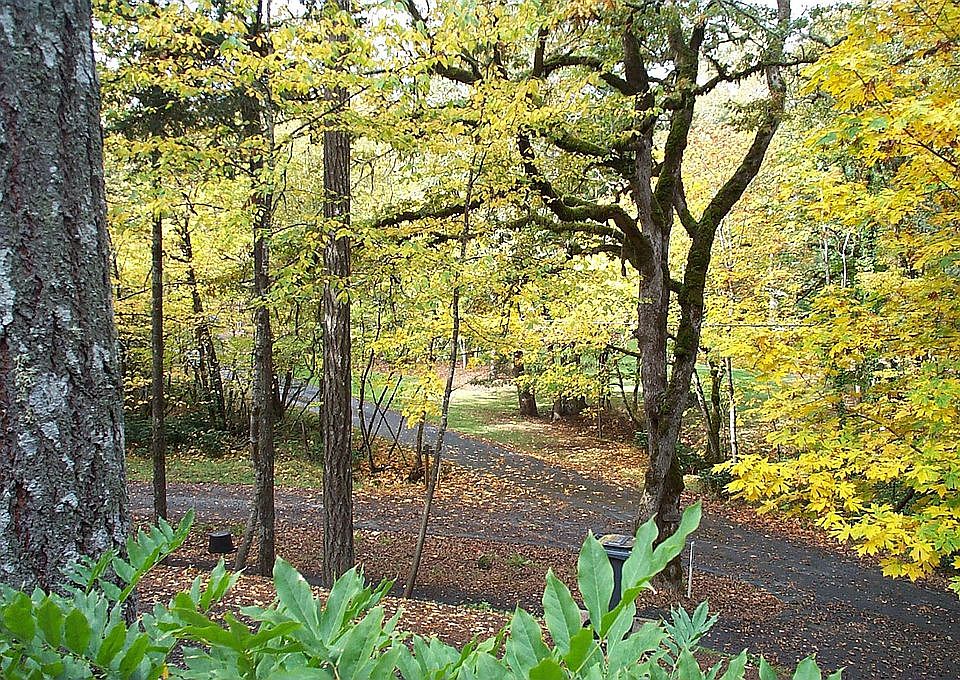View from living room