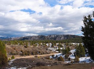 230 Kristina Ct, Pagosa Springs, CO 81147