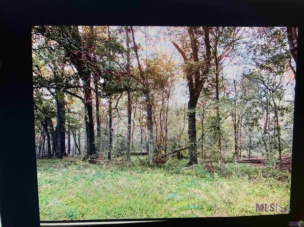 1-B-2 Line Rd, Ethel, LA 70730