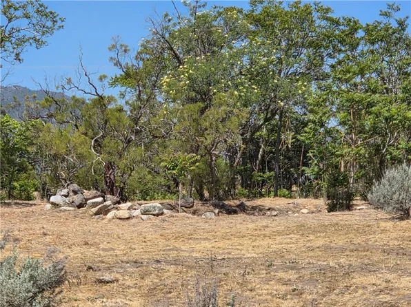 37230 Bautista Canyon Rd, Anza, CA 92539