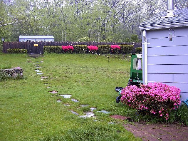 Back Yard - Spring