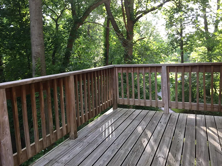 13814 Grey Colt Dr — Photo 6