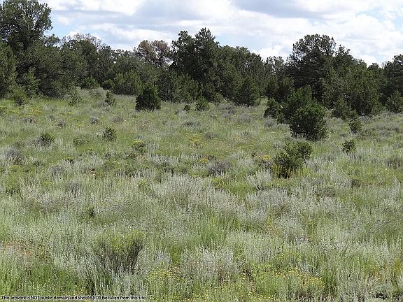 5th image of Sierra De Manana Dr Lot 1