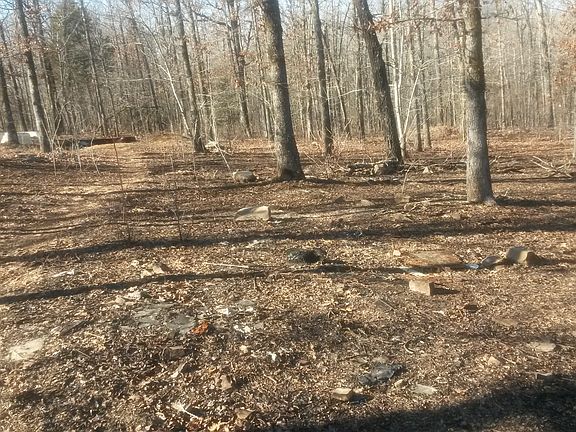 2nd image of 24 Austin Creek Cv