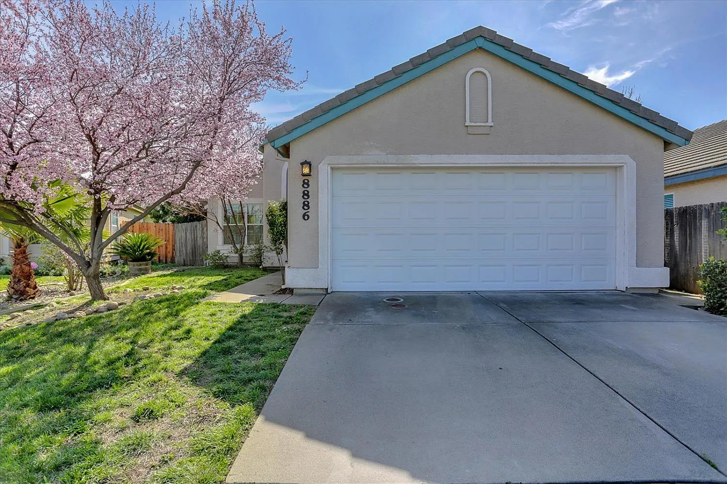 8886 Apricot Tree Ct photo 1
