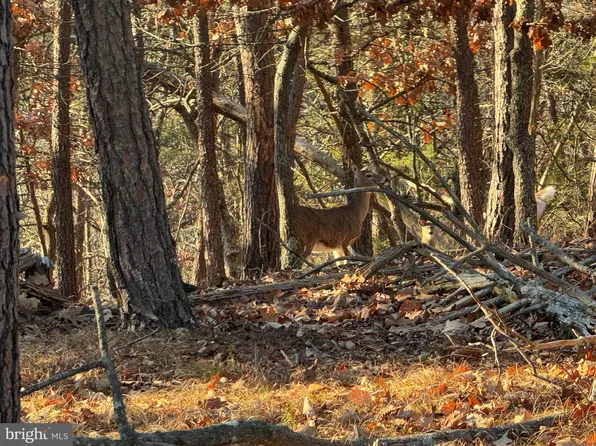 Mountain Cv, Petersburg, WV 26847