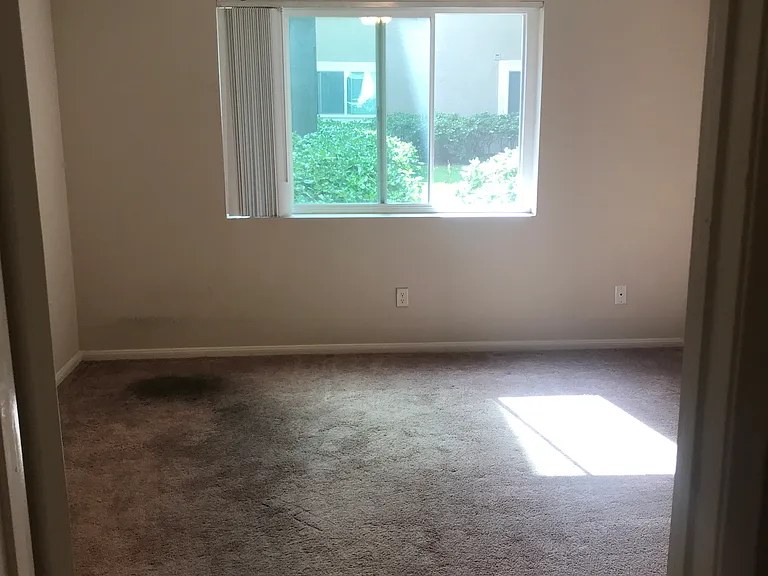 7525 Charmant Dr #111 — Photo 56
