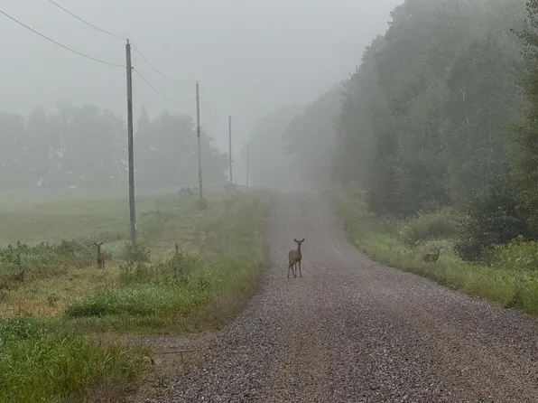 N2179 SCHALK ROAD, Ogema, WI 54459