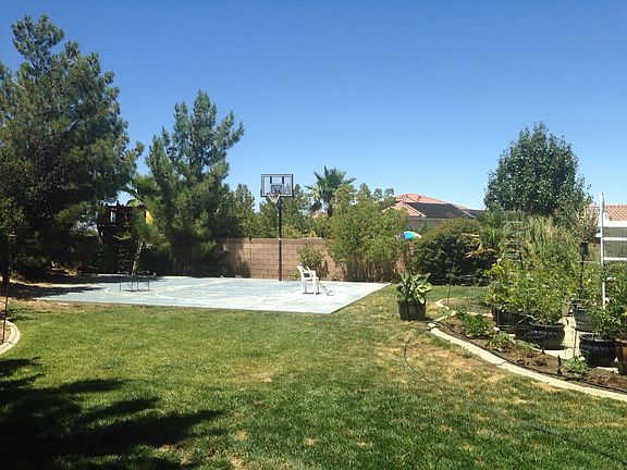 Baseketball court in yard