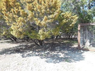 1029 Paradise Dr, Canyon Lake, TX 78133