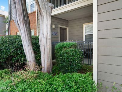 2100 Old Taylor Rd APT 119, Oxford, MS, 38655