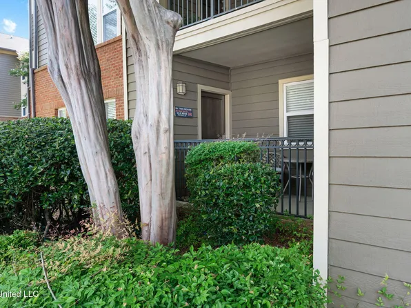 2100 Old Taylor Rd APT 119, Oxford, MS 38655