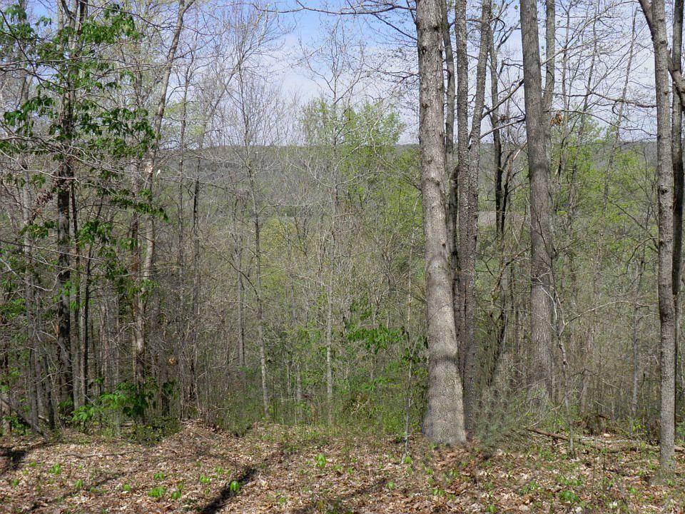 2nd image of 4158 Little Cake Rd.