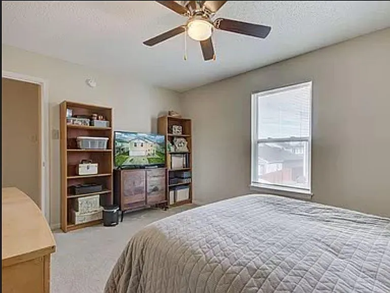 10882 Grace Dr — Photo 14