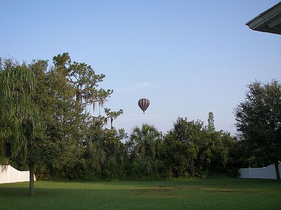 Conservation View
