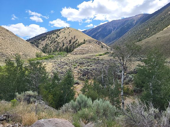 4th image of 451 Peterson Creek Rd