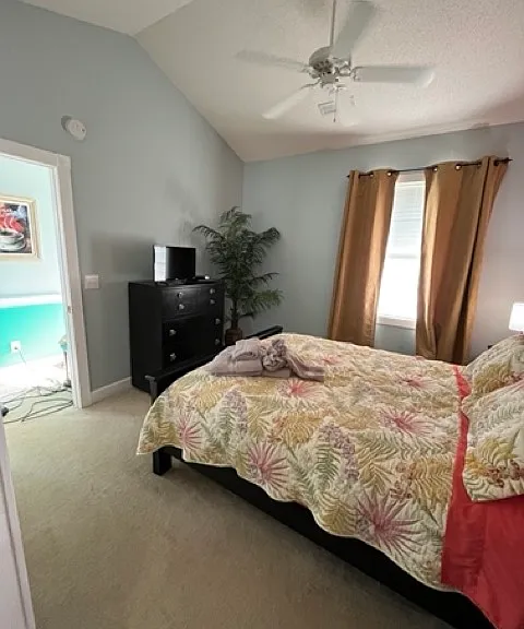 Hibiscus Dr — Photo 16