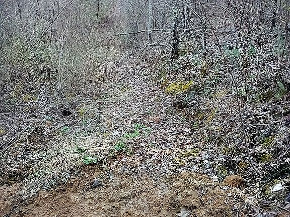 Logging paths