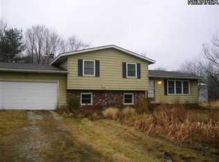 4100 Beachler Rd, Medina, OH 44256