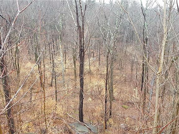 2nd image of 16006 State Highway 8