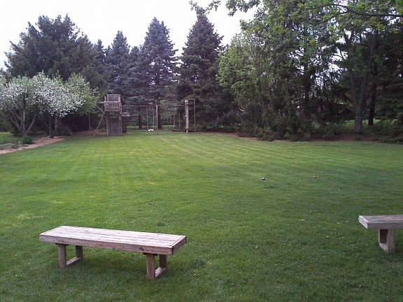 back yard 1