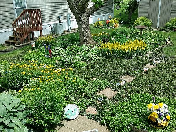 Awesome Yard!