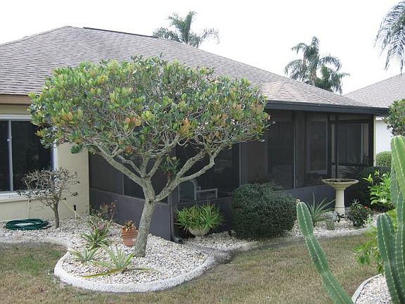 4th image of 701 Winterbrooke Way