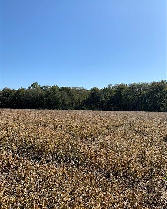 1st image of 7915 County Road 216