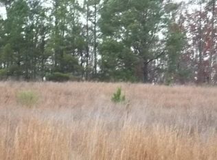 185 Scouts Ridge Dr, Covington, GA 30016