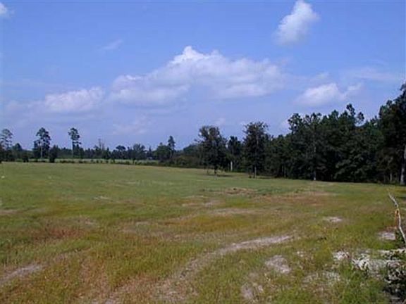 3rd image of TBD Horace Walters Road LOT 3