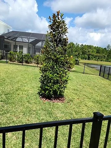 Backyard side hiew