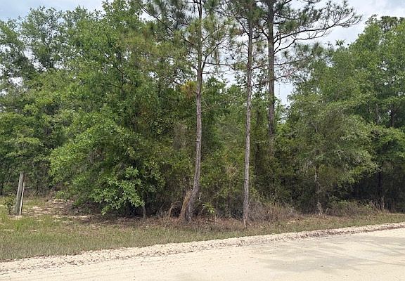 2nd image of SW Southwest Daisy Rd