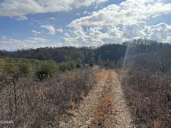 4th image of 0 Leatherwood Rd