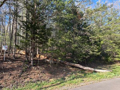 LOT 1 Timber Trl, Newport, TN, 37821