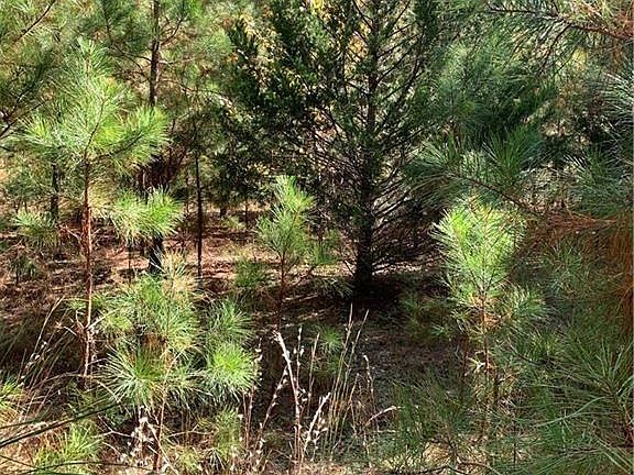 3rd image of PARCEL Courthouse Hwy