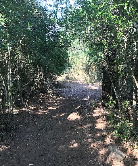 Manuel Rd — Photo 28