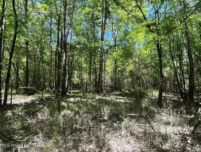 1 Kahnville Rd, Gloster, MS, 39638