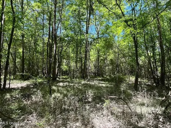 1 Kahnville Rd, Gloster, MS 39638