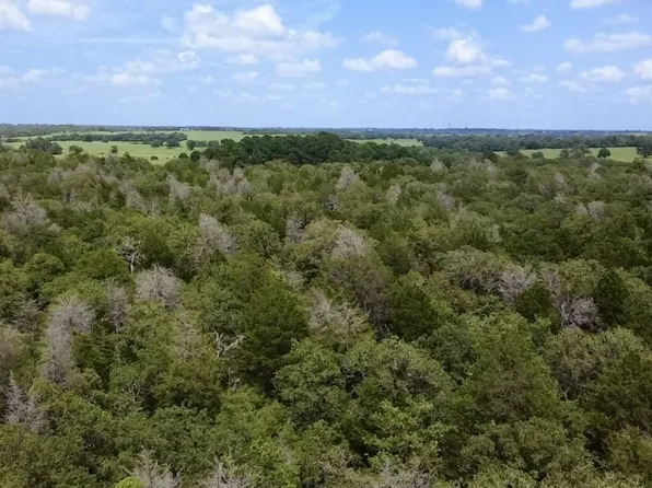 Tbd County Road 337, Lexington, TX 78947