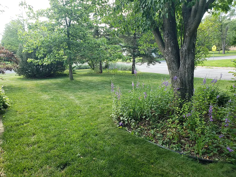 5200 Schofield St #5200 — Photo 20