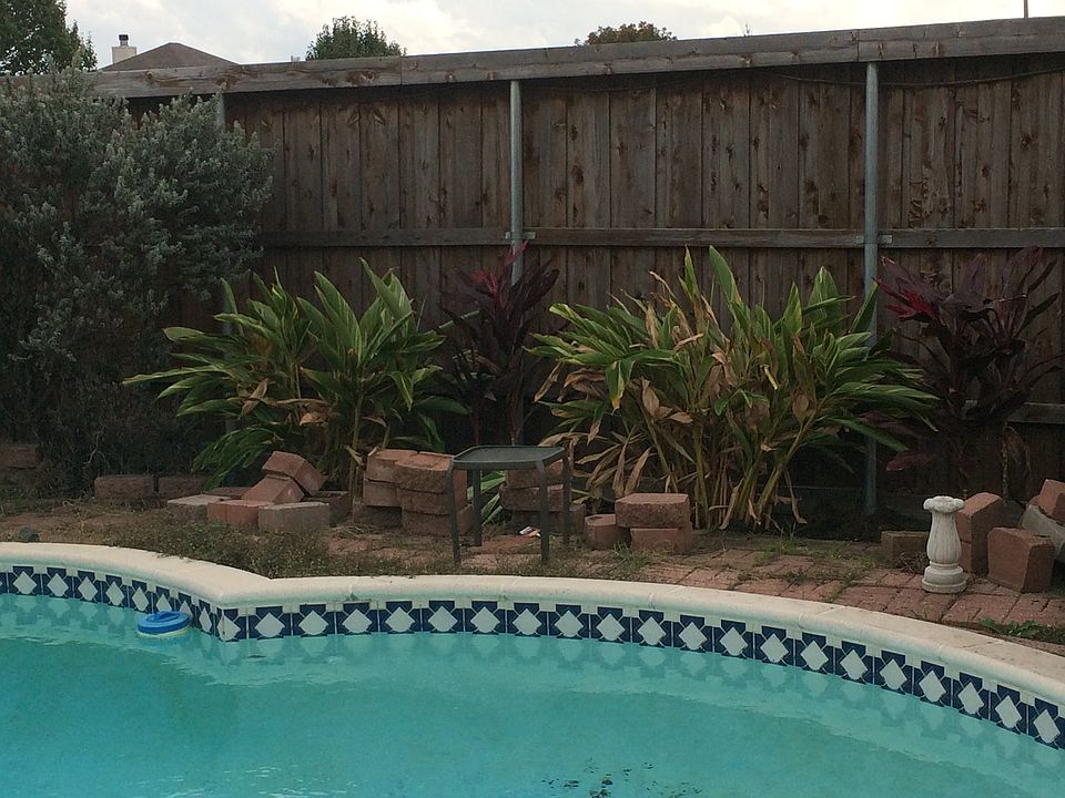 Pool area with landscaping 