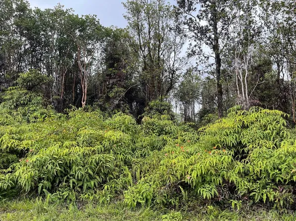 Kaleponi Rd Lot 48, Volcano, HI 96785