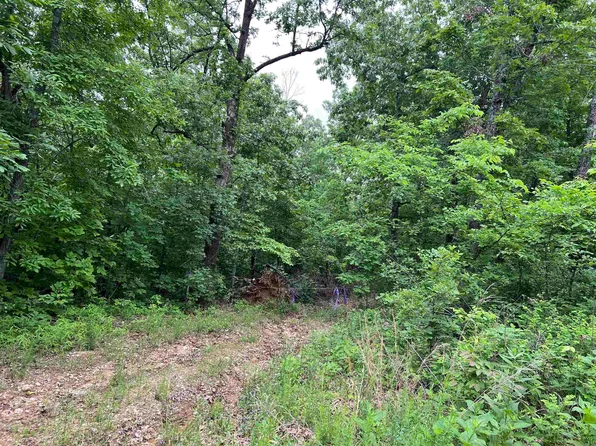 0 Water Oak Ln, Mammoth Spring, AR 72554