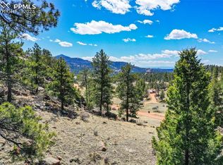 168 Sprucewood Dr, Florissant, CO 80816