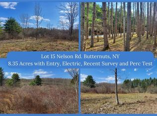 LOT 15 Nelson Rd, South New Berlin, NY 13843