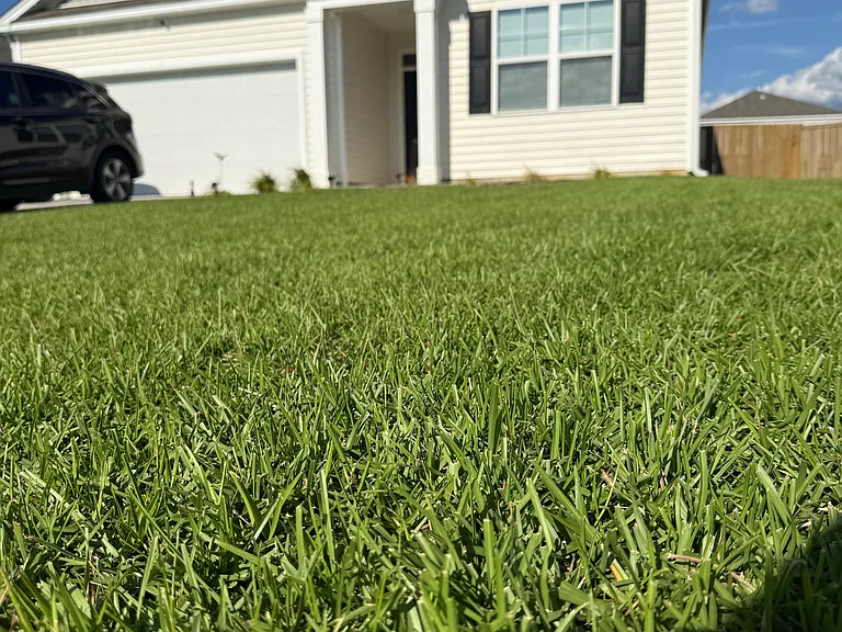102 Green Passage Ln — Photo 22