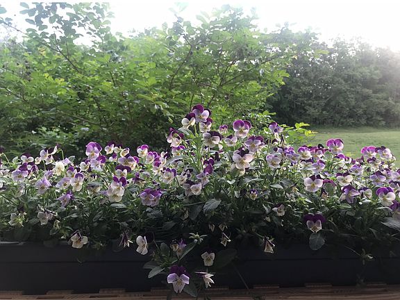 From living room to patio